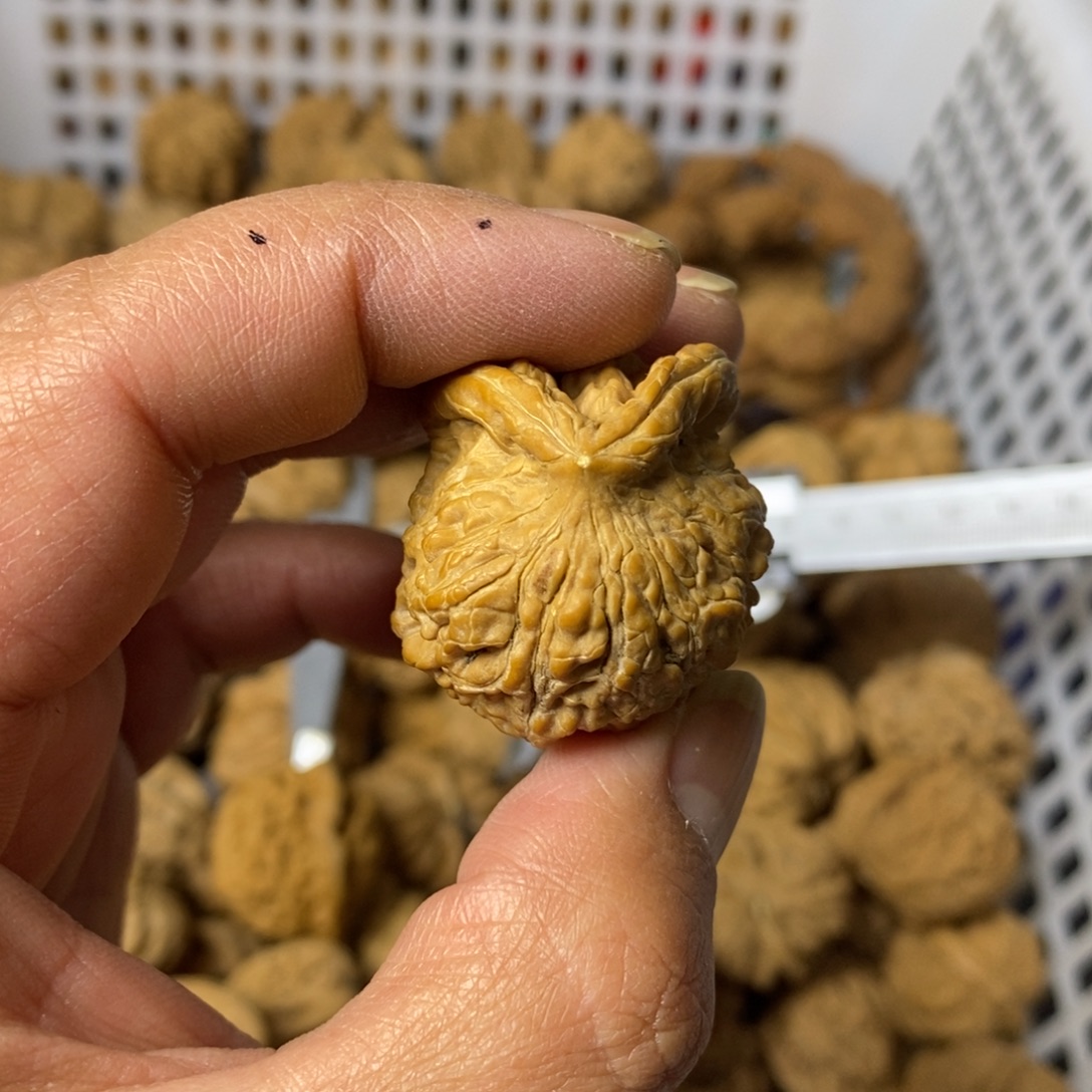 瓦***泰吊坠文玩核桃文玩