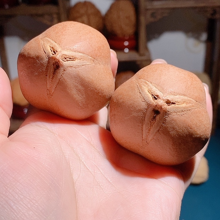 阿*i野生蟠桃三花大橄榄45