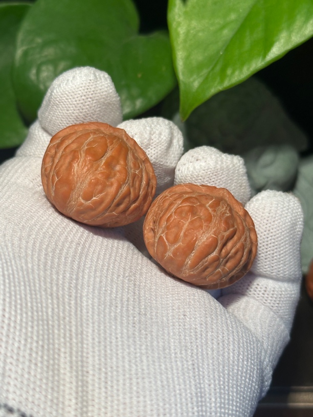 瓷娃娃手捻文玩核桃小核桃31尺左右