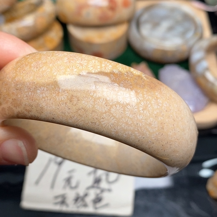 硅化珊瑚（珊瑚玉）手镯未镶嵌55