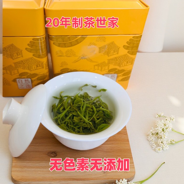 2025广西昭平黄金茶明前高山茶叶绿茶新茶春茶花果香型雨花浓香型