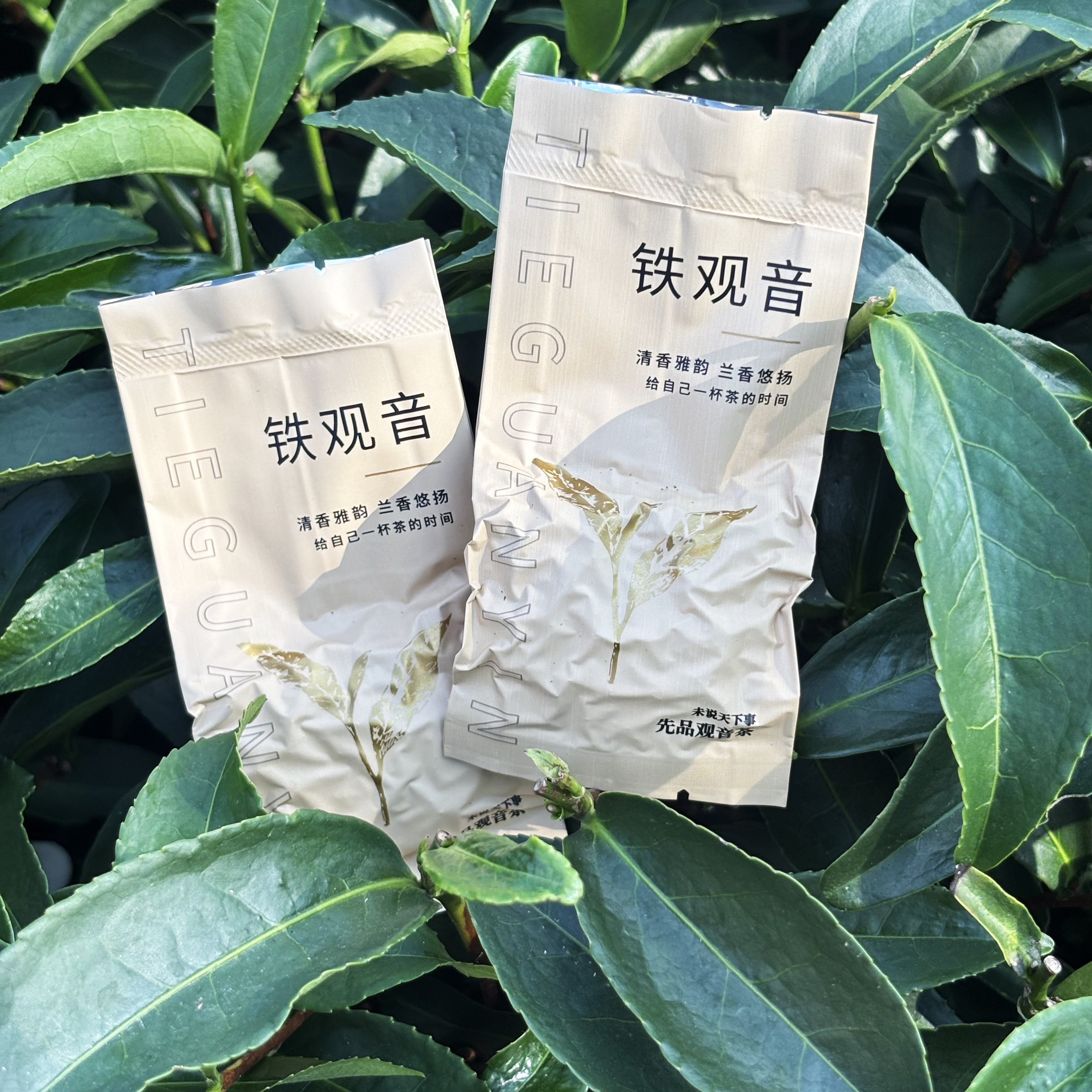 【祥华珍山正秋铁观音】25年高端正味正炒清香花香型茶汤细腻米汤感