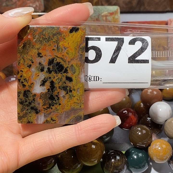 硅化玉未镶嵌天然北票树化玉吊坠