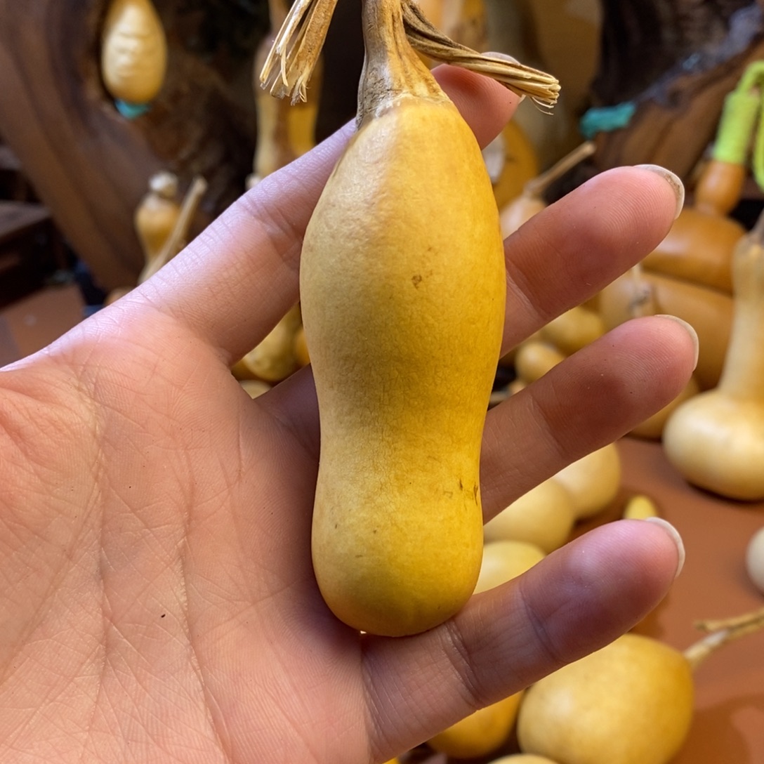 S***y教练教练教练教练经理