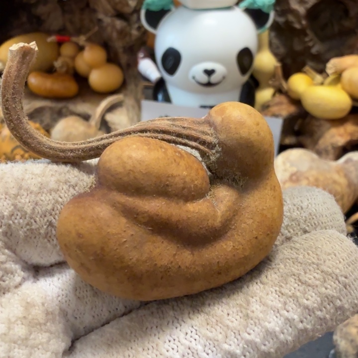 普***r666666666677778888