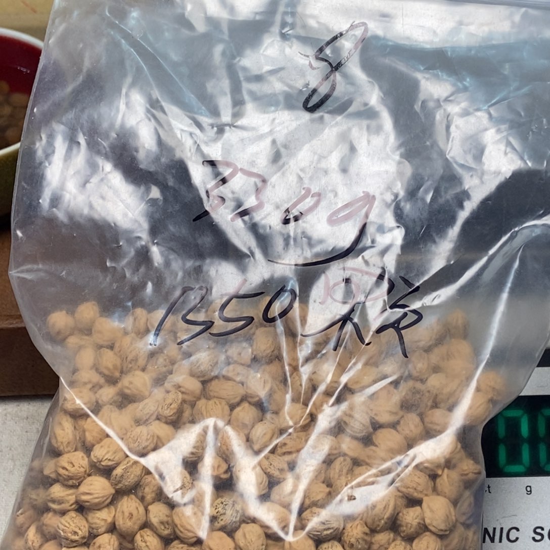 柏香籽/百香籽吊坠