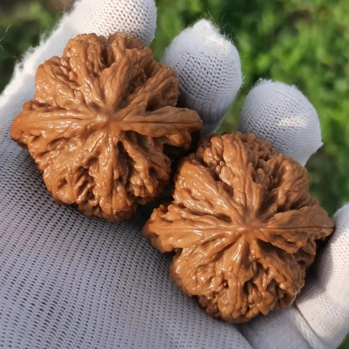 青皮文玩核桃（no退no换）