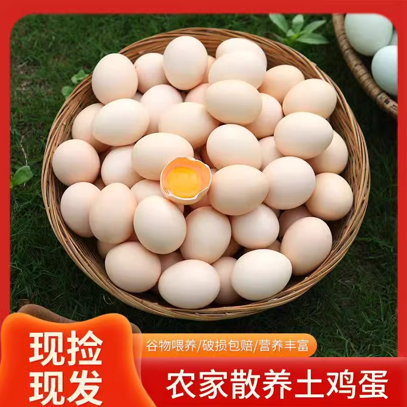 （新疆包邮）农家散养新鲜土鸡蛋现捡现发高营养可生食