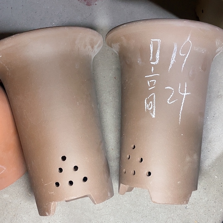 红陶紫砂紫砂紫砂