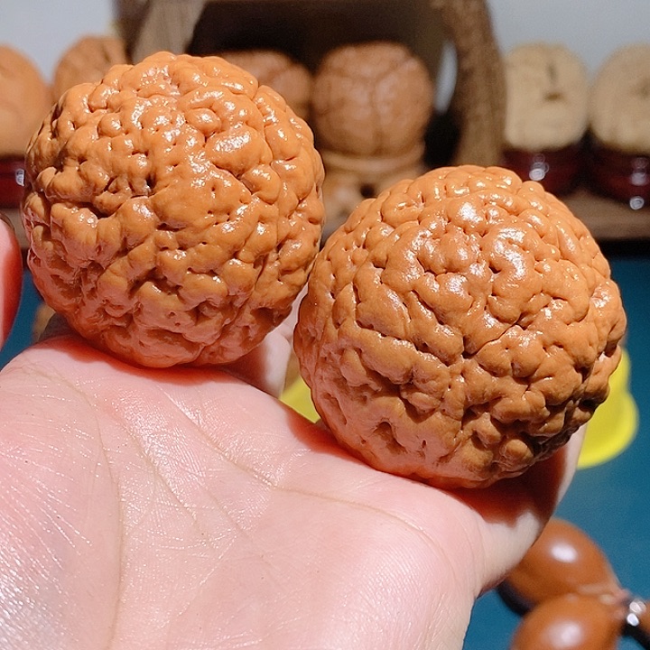 野生三瓣脑纹大金刚4750