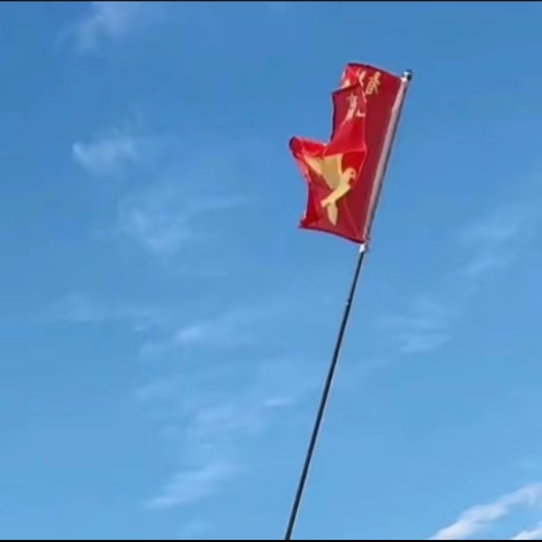 强制家飞赛鸽手摇旗杆加厚款