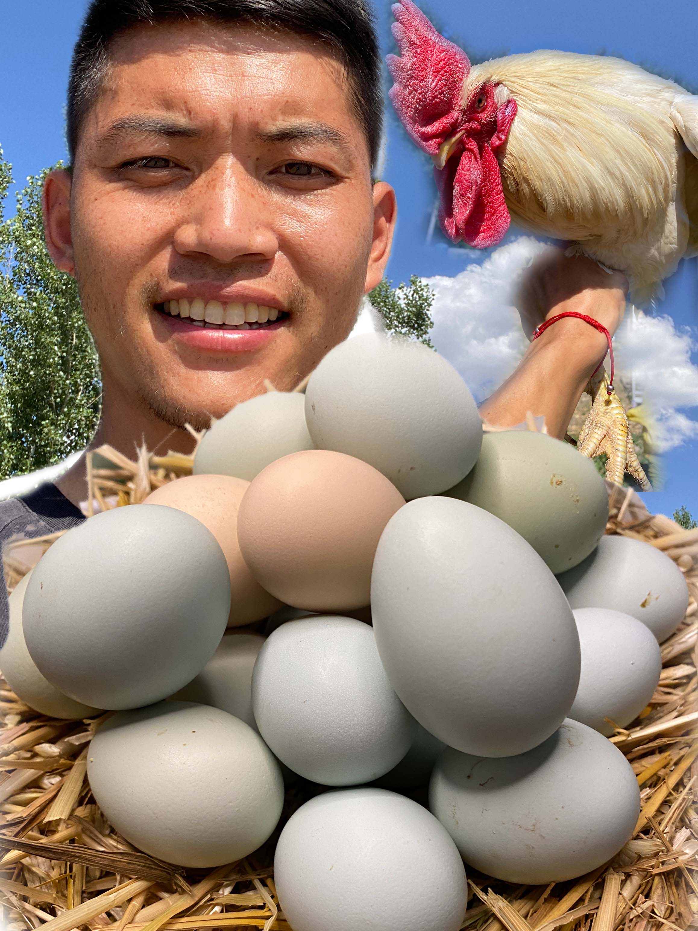 新鲜散养土鸡蛋农家散养柴鸡蛋老人孩子孕妇月子适用无抗散养鸡蛋