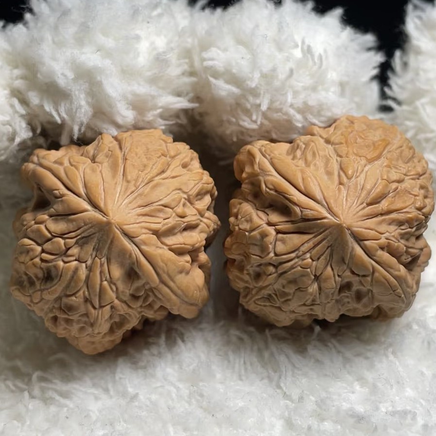 文玩核桃（福利练手对）