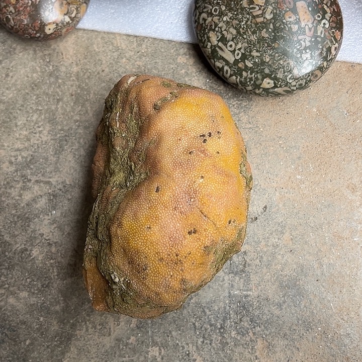 何***姐有机玻璃珊瑚玉摆件