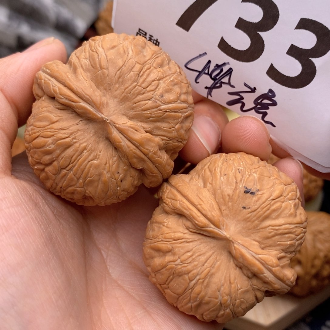 文玩核桃把件733号44全包