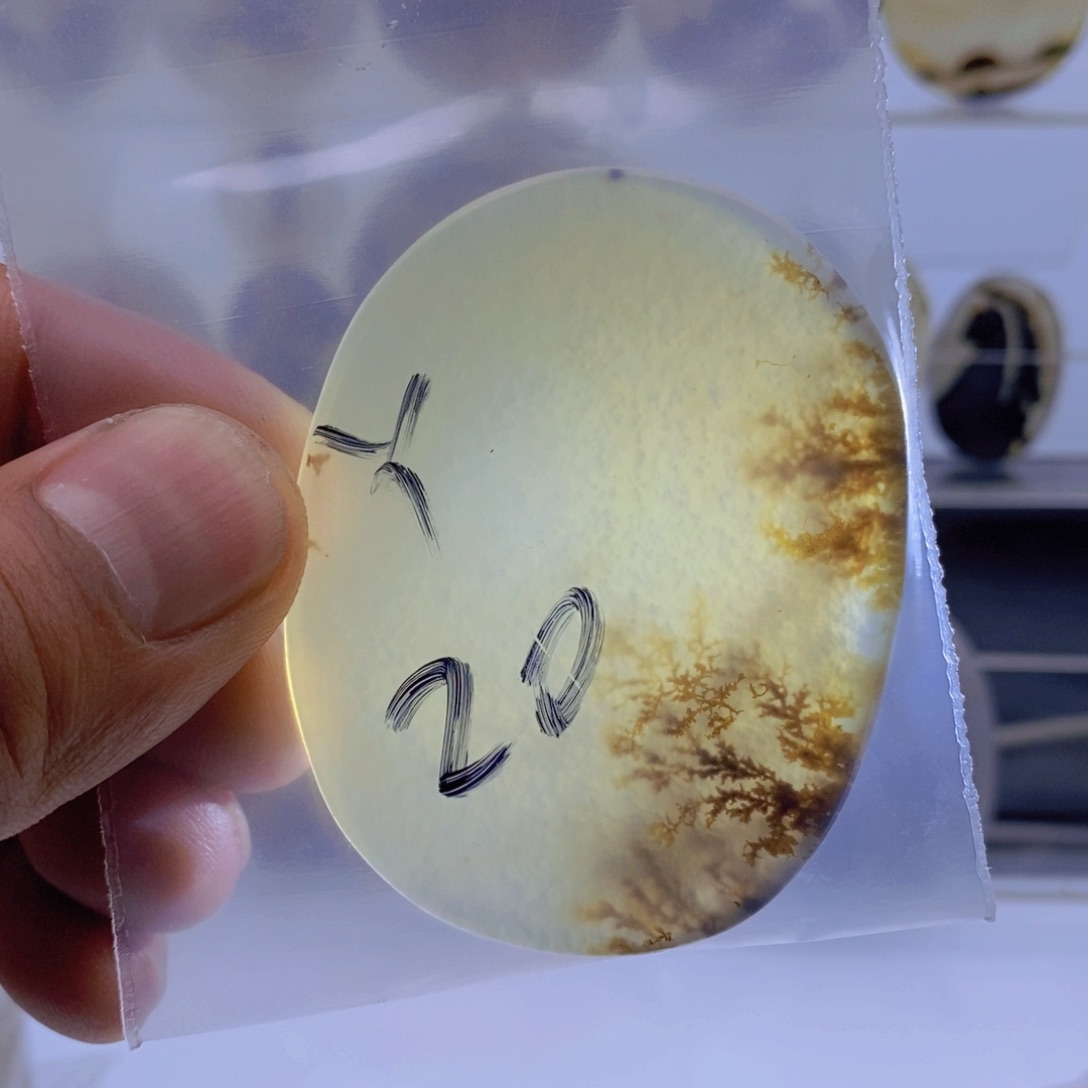 玛瑙/玉髓颈饰未镶嵌丫**?