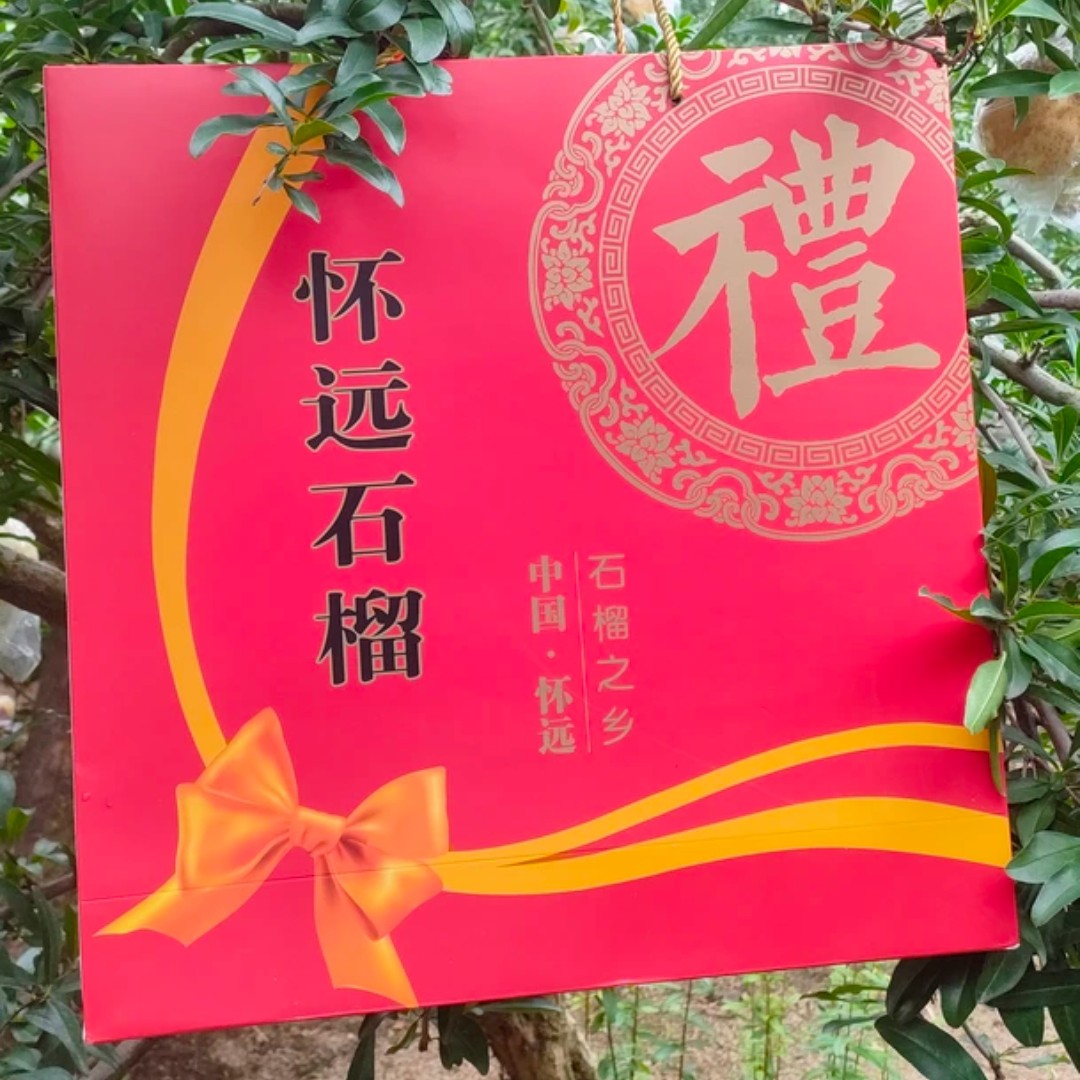 蚌埠怀远白花玉石籽石榴9棵红色礼盒装