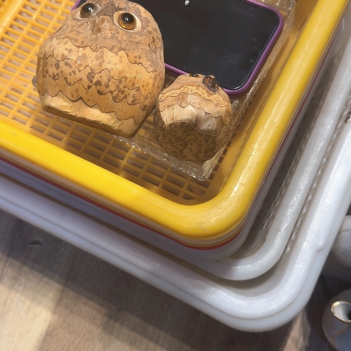 中古物品，谨慎参拍?**吉