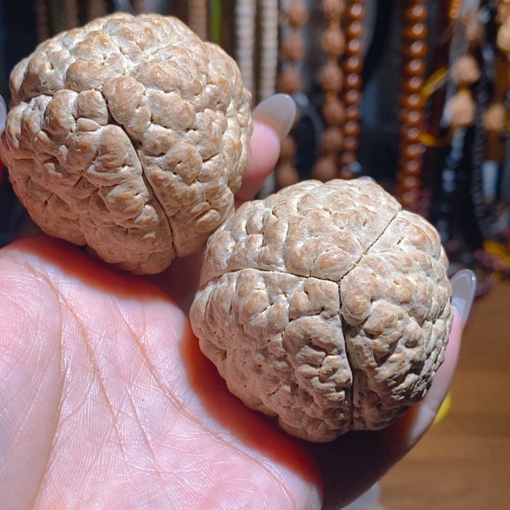 野生三瓣脑纹大金刚5060