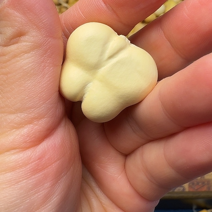 我的小可爱们都好可爱