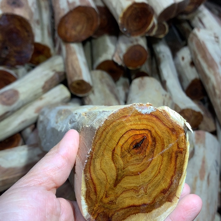 花梨木类海南黄花梨