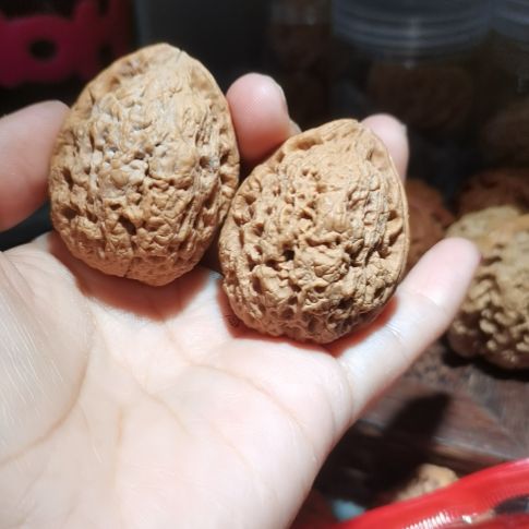 猴头核桃吊坠41大肚金蟾