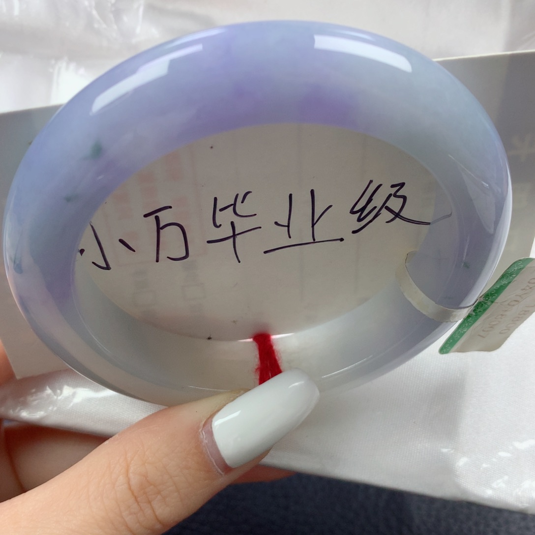 未镶嵌手镯翡翠莫奈花园小万毕业级正圈54
