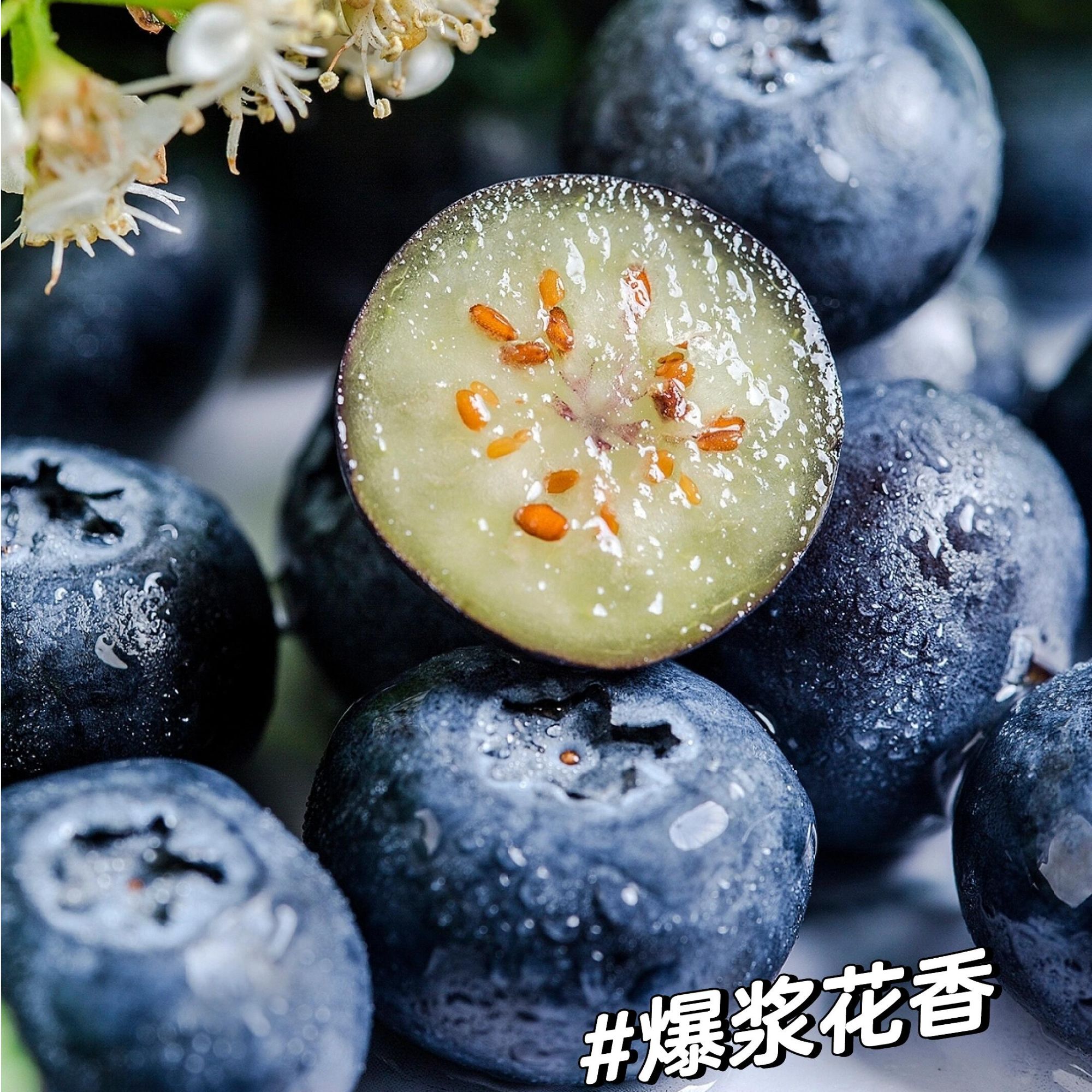 云南高原L25品种花香蓝莓产地新鲜现采现发脆爽爆汁