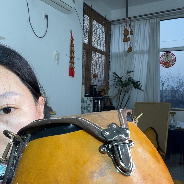 鬱***耋香榧木葫芦包包葫芦