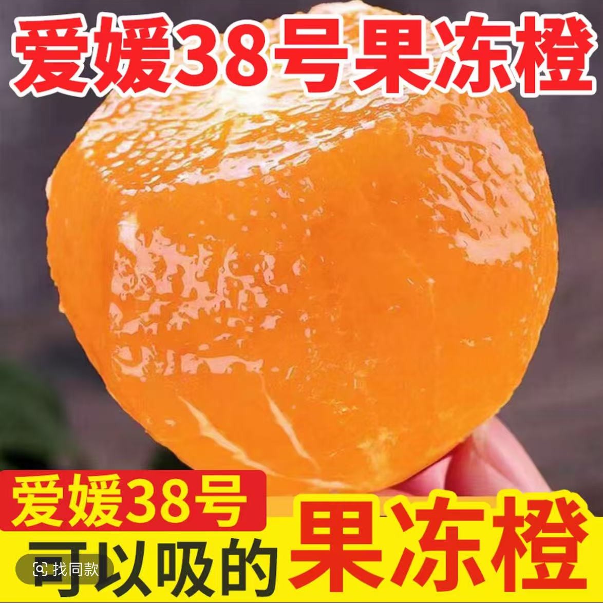四川爱媛38号果冻橙新鲜当季现摘水果皮薄香甜多汁产地直发