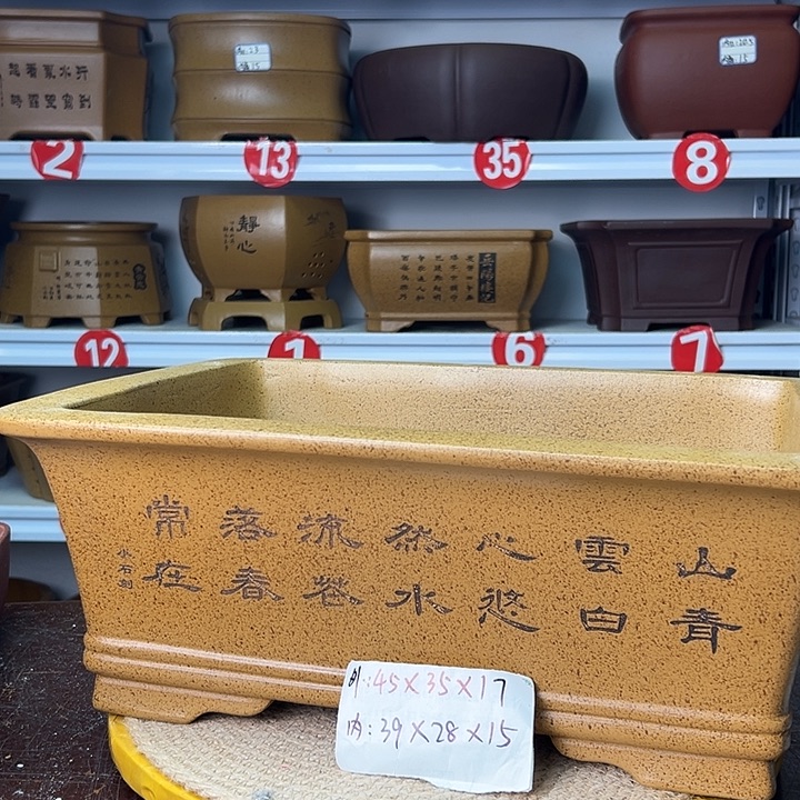花盆紫砂你是不是