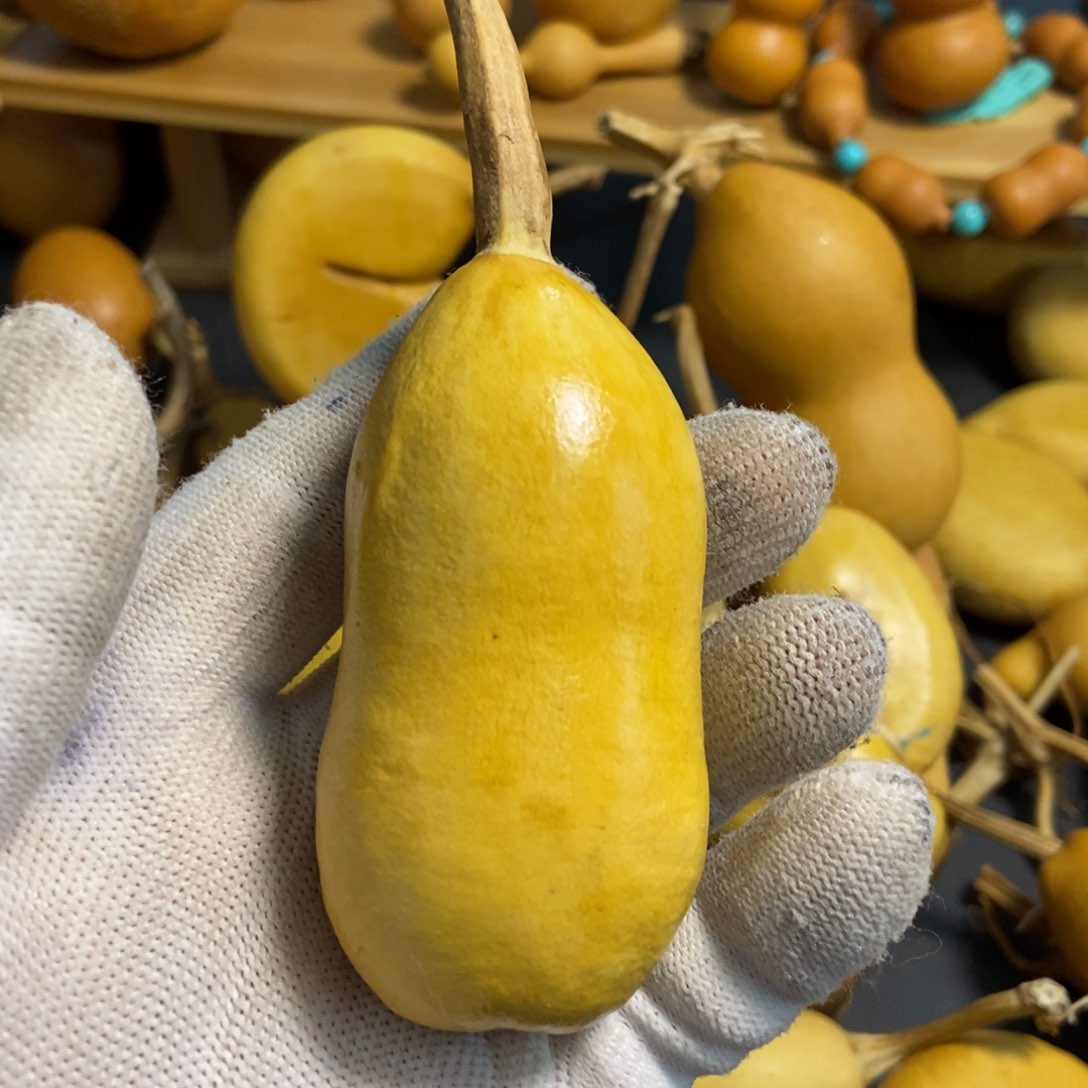 ?****?葫芦葫芦真的