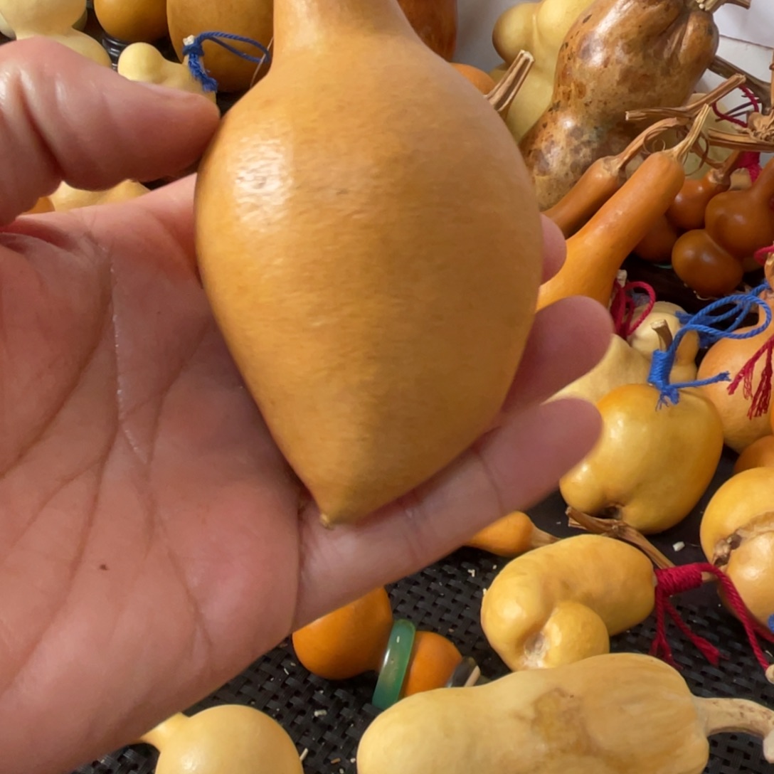 邹***吉葫芦哈哈哈哈哈哈哈哈好吧