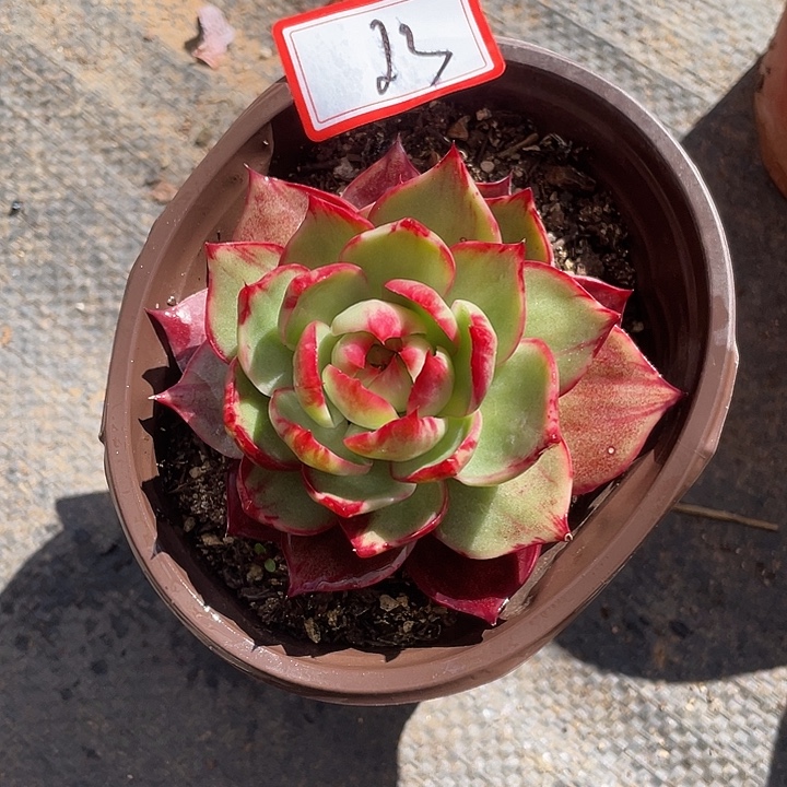 23/////////：//：///