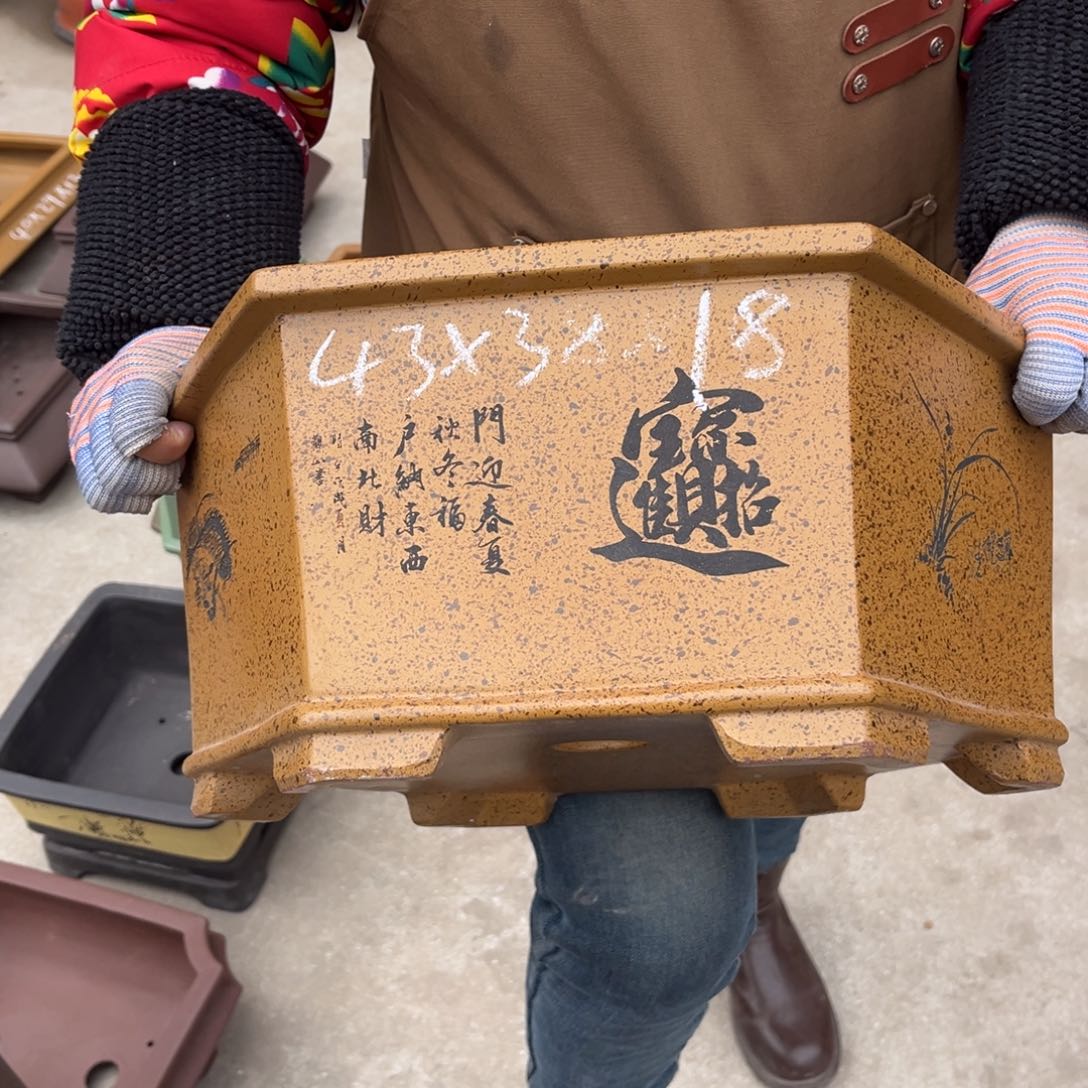 紫砂花盆盆景艺术