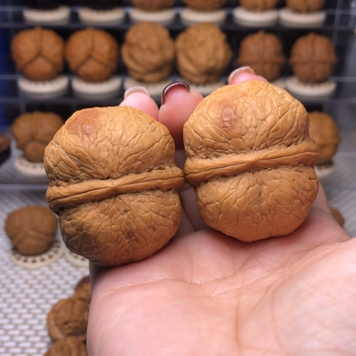 文玩核桃把件15号萌萌包42➕尺