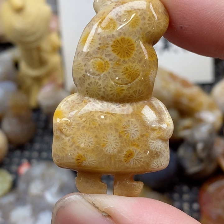 颈饰未镶嵌硅化珊瑚（珊瑚玉）