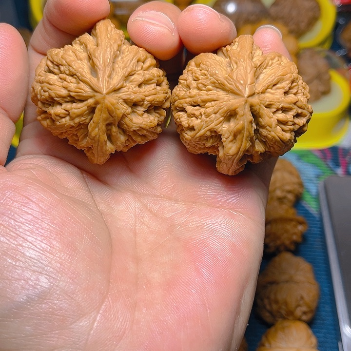 文玩核桃吊坠大粗筋