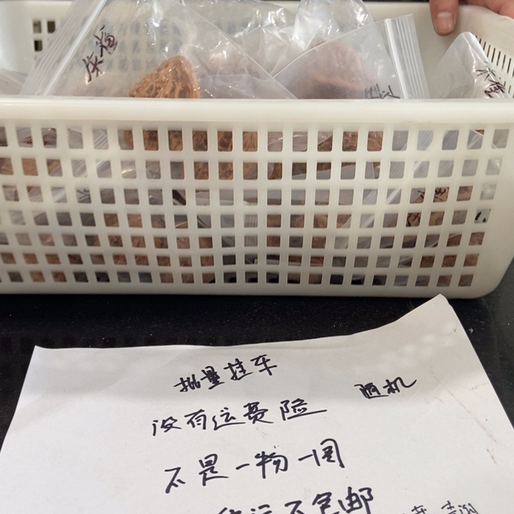 吊坠文玩核桃朱雀微瑕