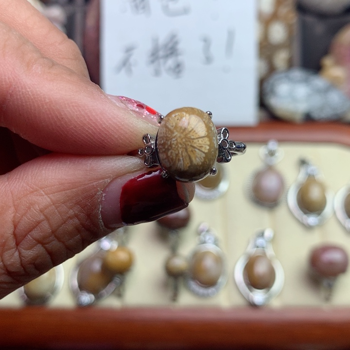 硅化珊瑚（珊瑚玉）颈饰未镶嵌