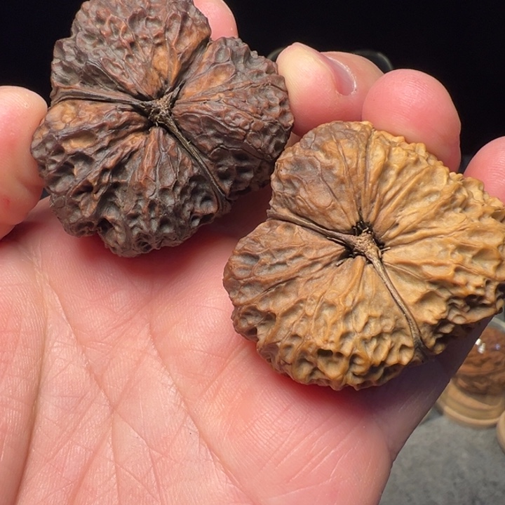 文玩核桃把件梅花官座43.5mm