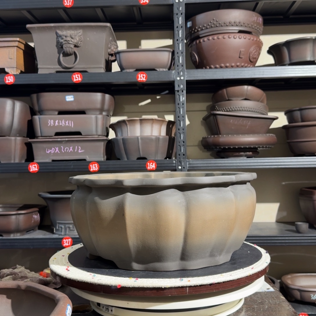 大***傻紫砂呜呜呜我的宝我的心也在滴血