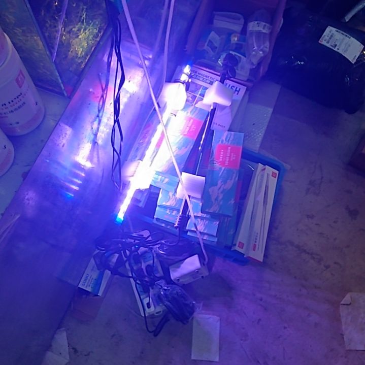 海星锦鲤专用6w 57厘米潜水灯