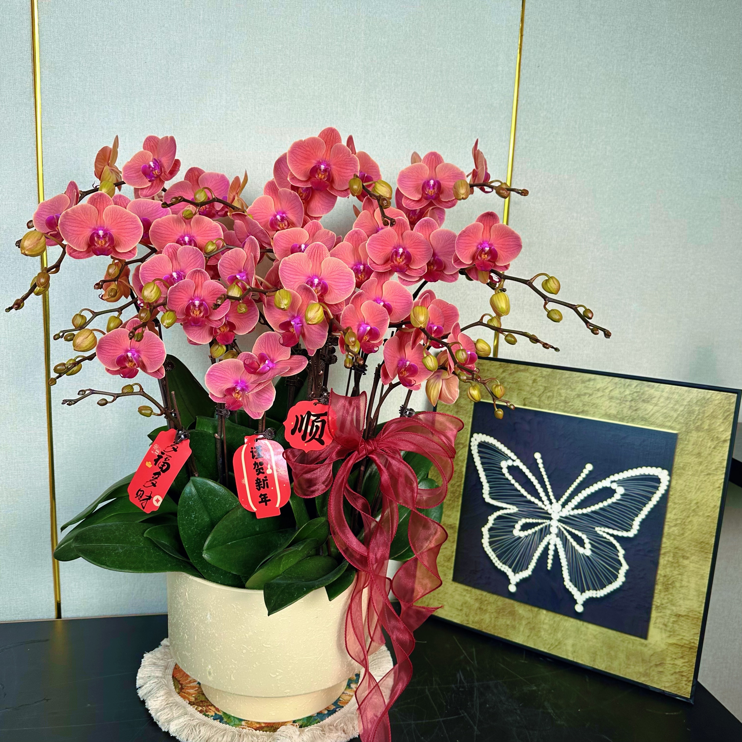 花汐蝴蝶兰【聚宝橘子】年宵花乔 迁之喜 带花带花苞发货好养花期长