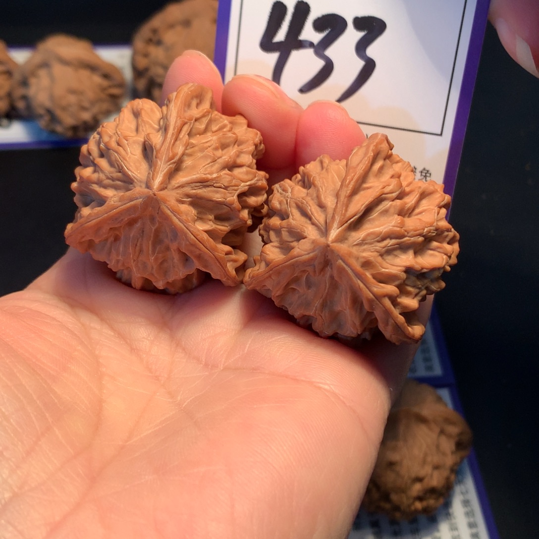 核桃433盘山三棱3.8全品