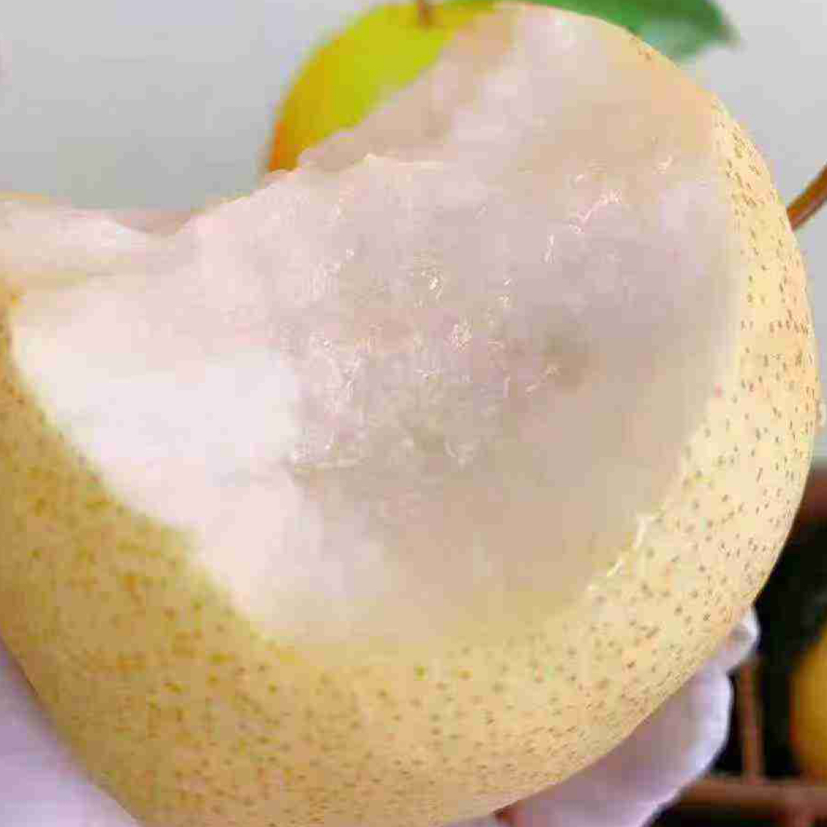 山屿田蜜脆梨优选应季