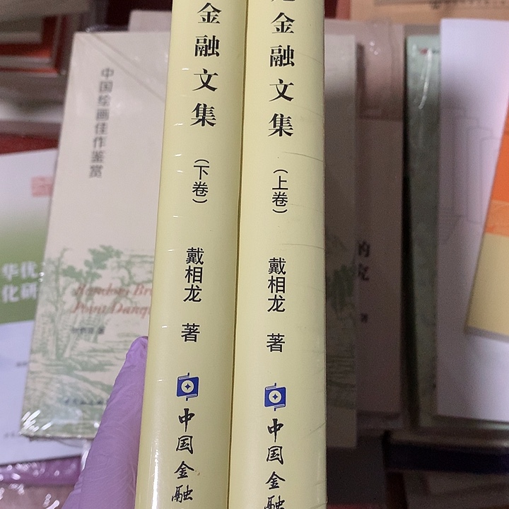 戴相龙金融文集上下