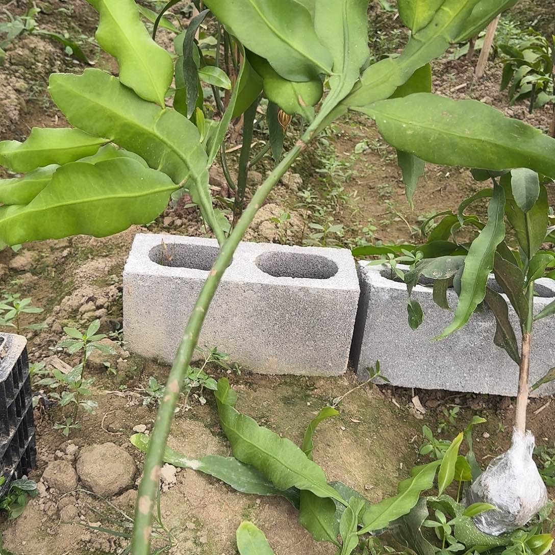 老***平哈哈哈哈哈哈哈哈哈哈哈