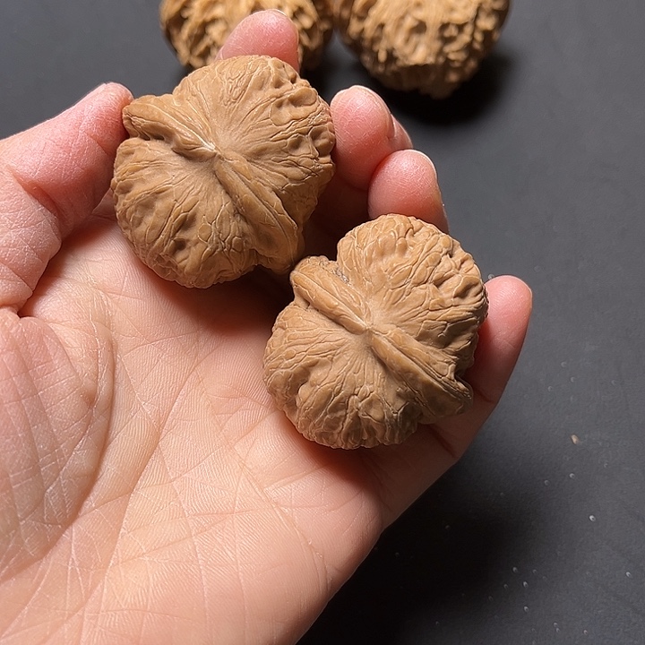 核桃元宝白茶全品40+