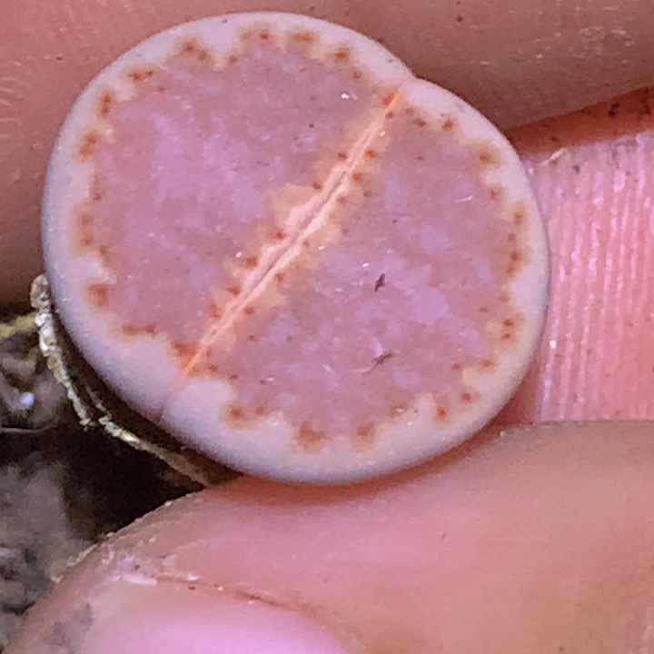 889999998999999998999969